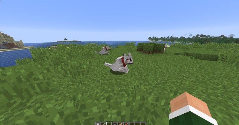 cat and dog pack control preview