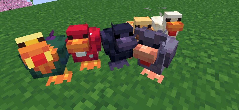 🐔Clukin' CHICKS🐤 - DATAPACK preview