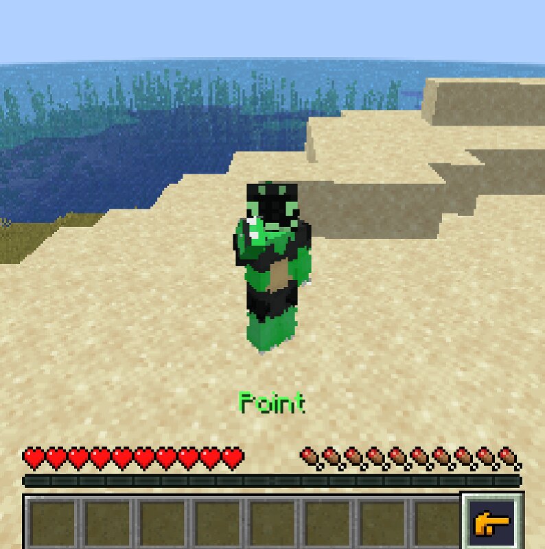 Point preview