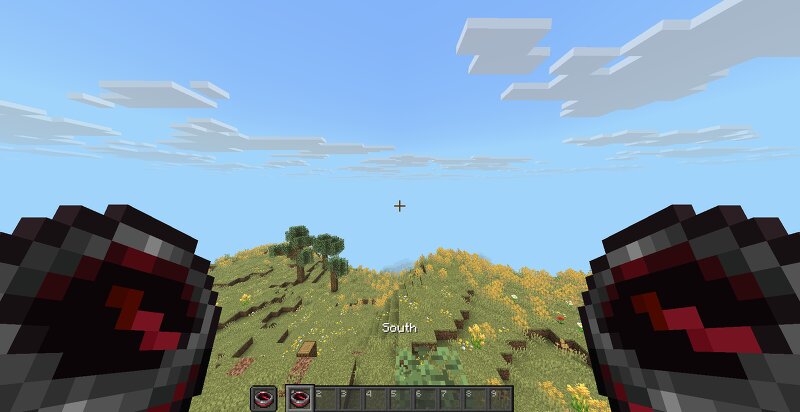 Directionview preview