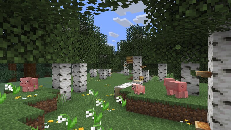 Birch Forest Concept Art - 26.3 preview