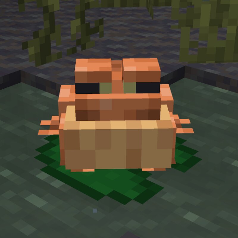 Immersive Swamps preview