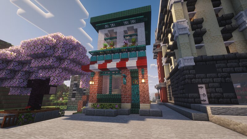 City Book Shop preview
