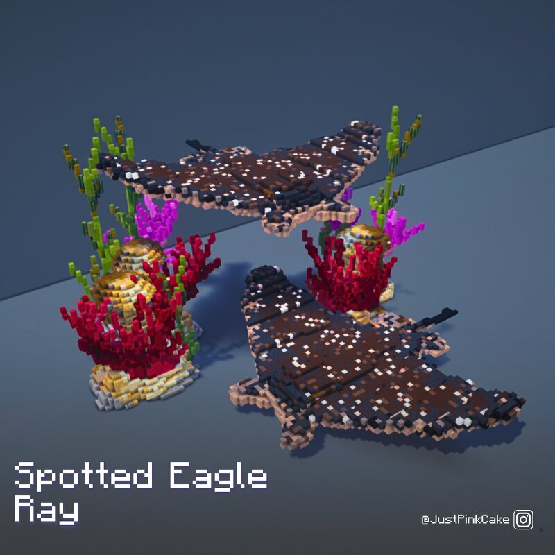 Spotted Eagle Ray preview