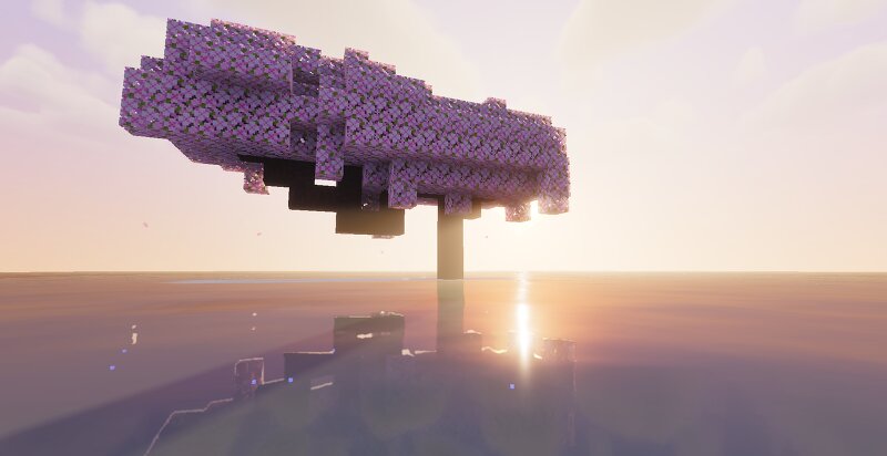 a longe blossom tree in a shallow ocean of water preview