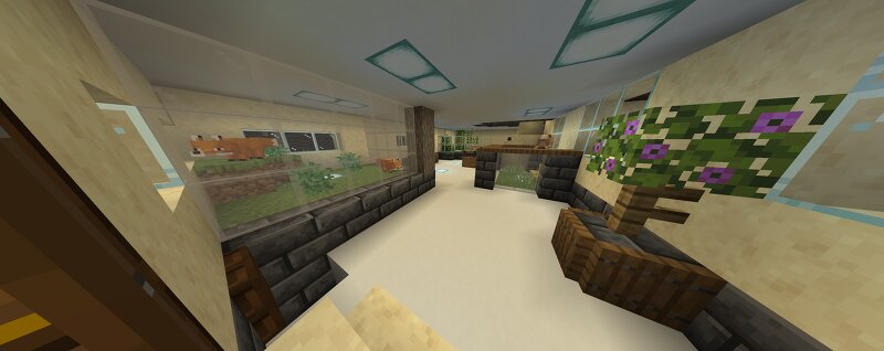 Daniela's zoo preview
