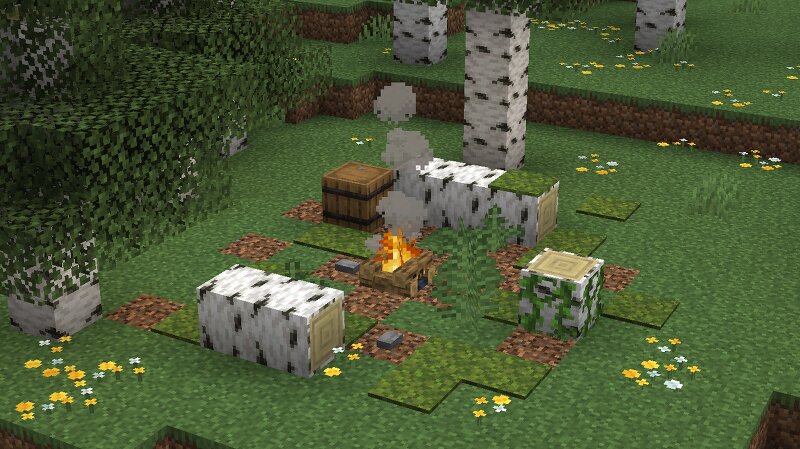 Wildcamps preview