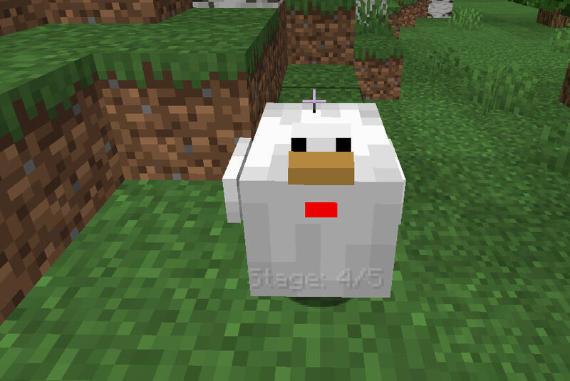 The Egg-Boom Chicken preview