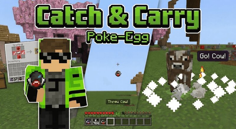 Catch & Carry addon "catch mobs using pokemon egg" preview