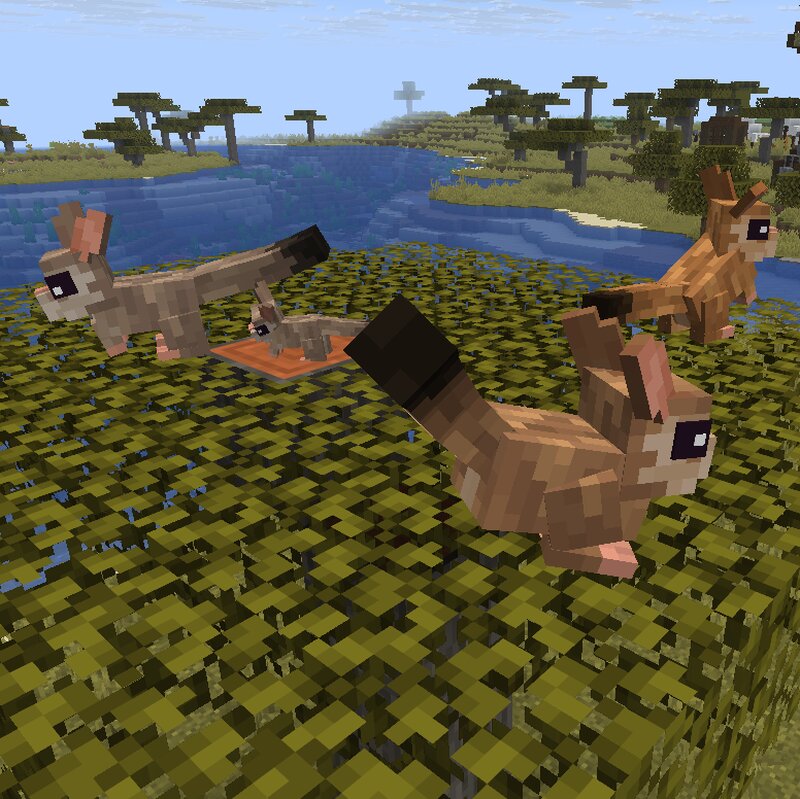 Animal Garden - Springhare preview