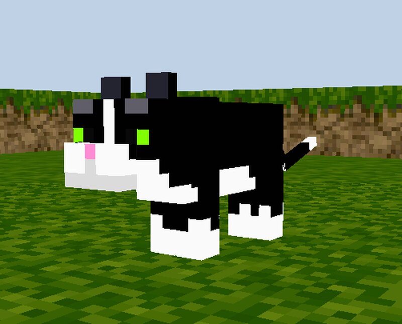 Felix preview