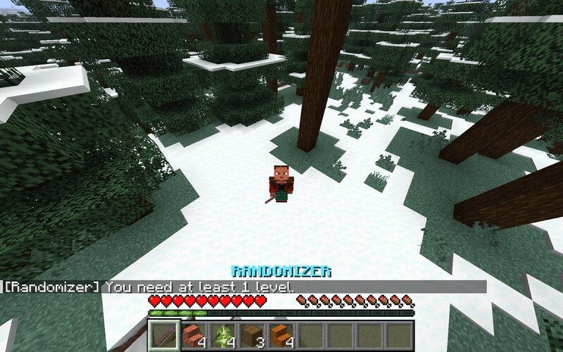 💯LEVEL = RANDOM ITEM (Hardcore Randomizer) (Fabric 1.21.11) preview