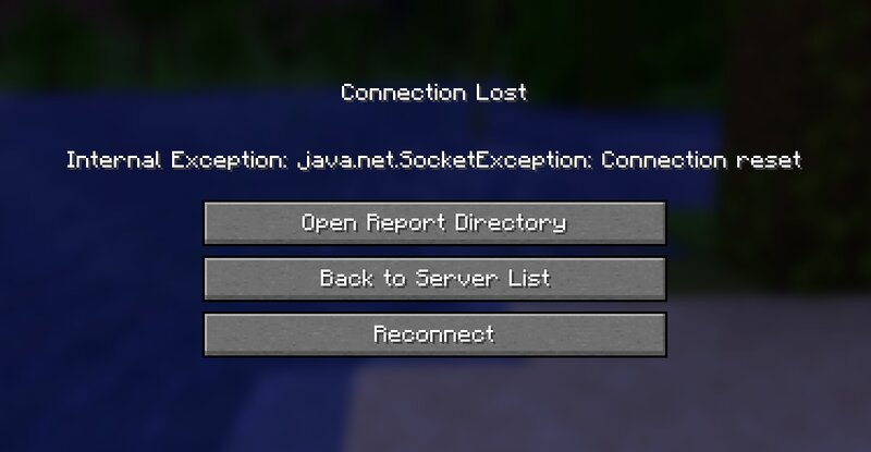 DonutSMP Reconnect preview