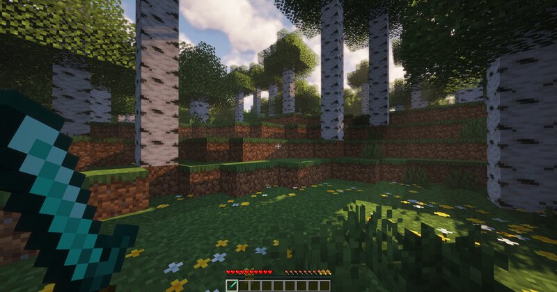 NoSwingAnimation preview