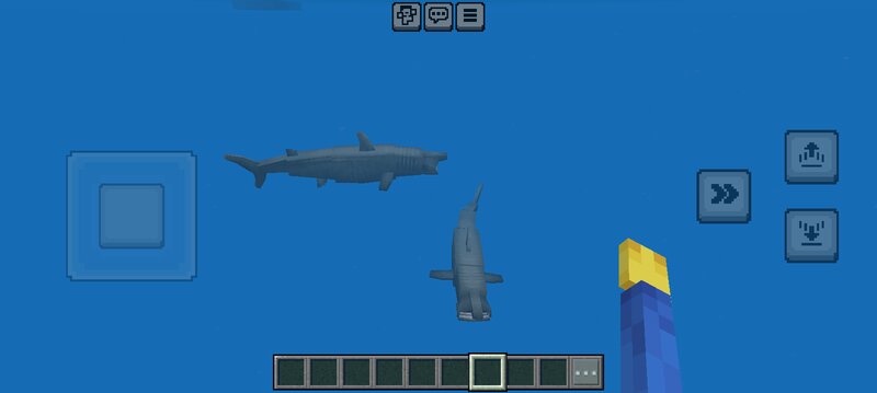 Just A Basking Shark preview