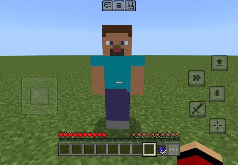 Steve Entity preview