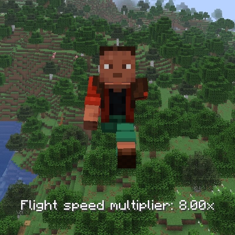 Fly Speed Modifier preview