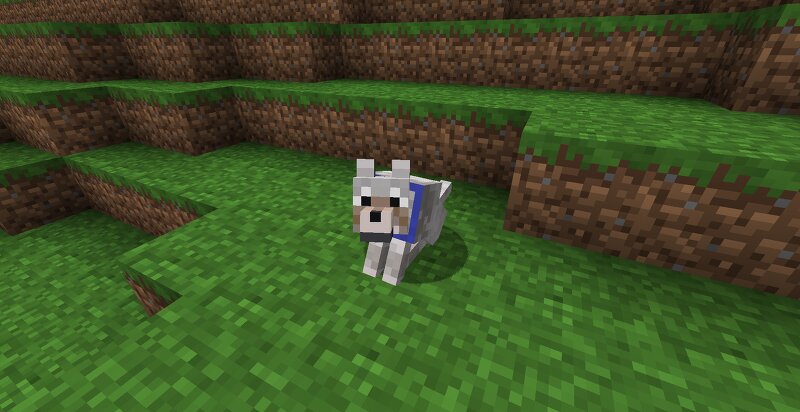 Better Wolf Collars preview