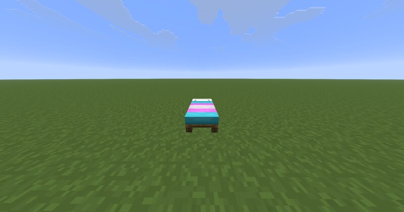trans bed preview