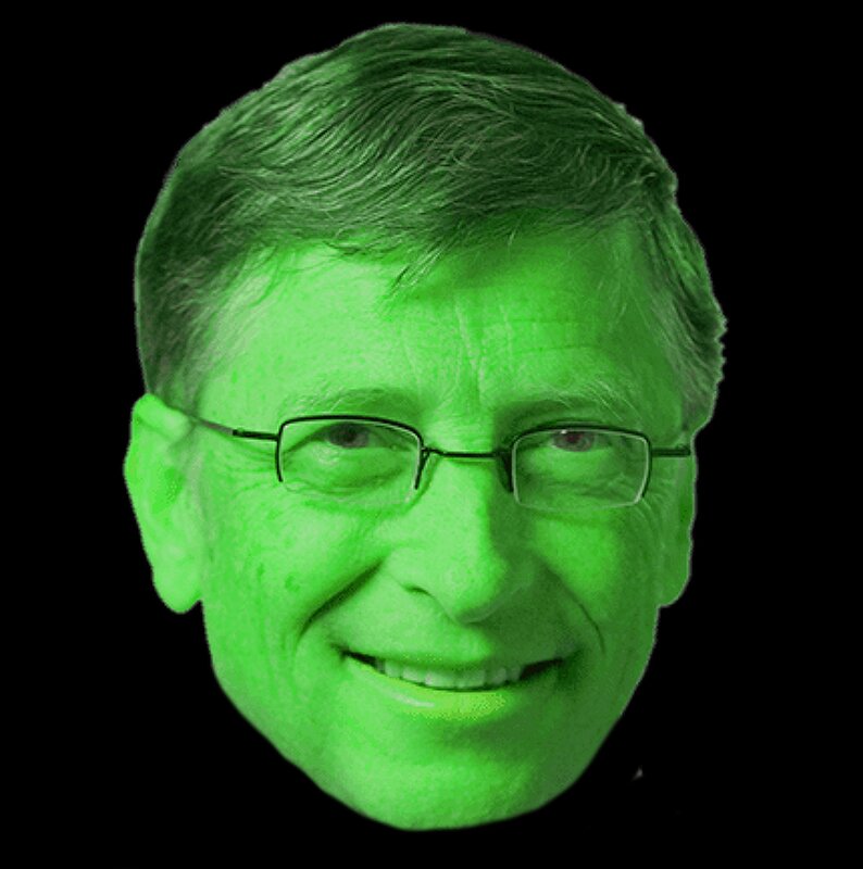 bill gates leaf litter preview