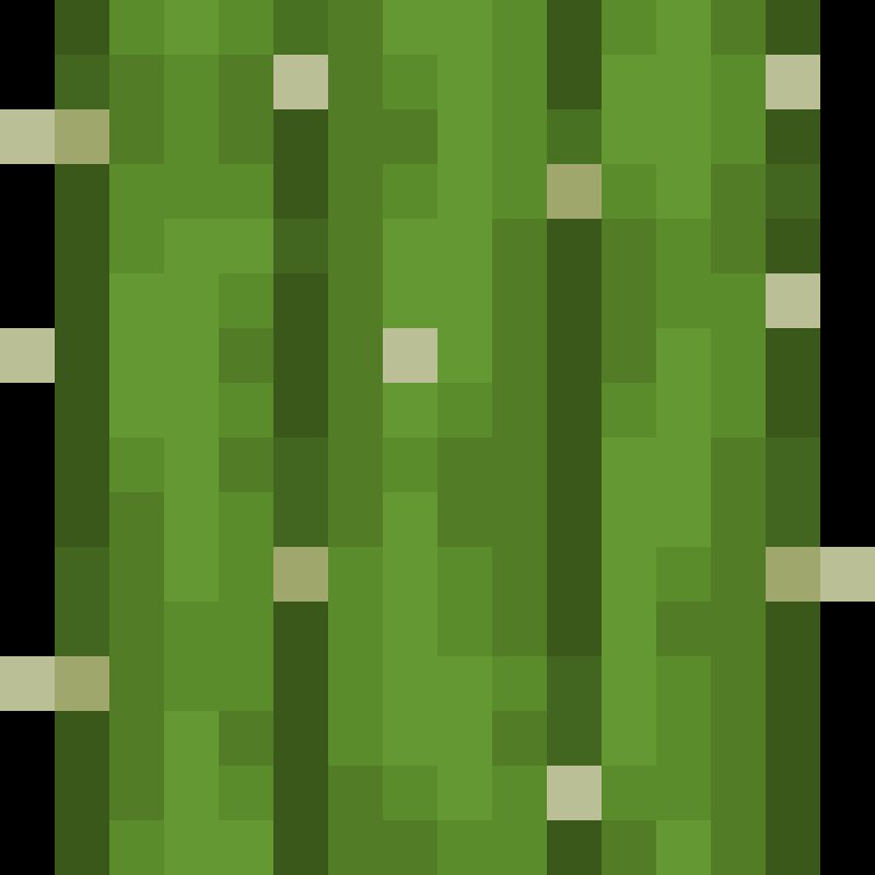 Cactus Bundle preview