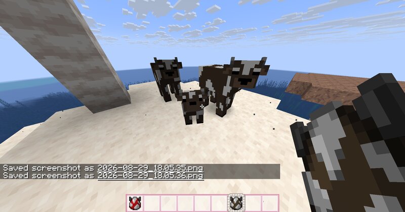 R4CC's Cute Cows preview