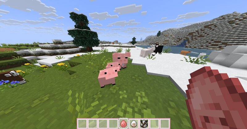 R4CC's Cute Pigs preview