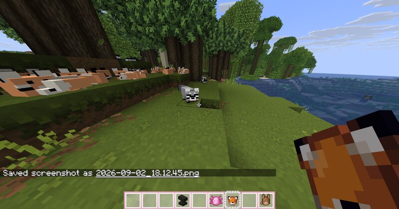 R4CC's Cute Foxes and More preview