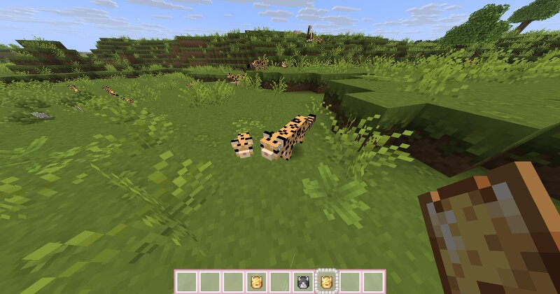 R4CC's Cute Ocelots (that look like real ocelots) preview