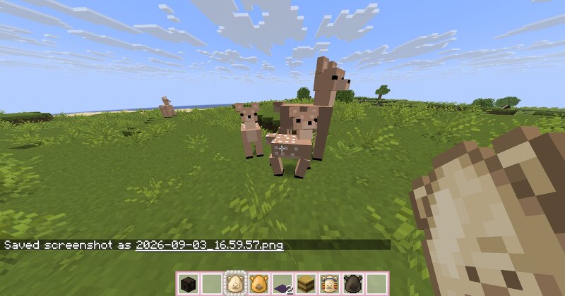 R4CC's Cute Deer and Trader Llamas preview