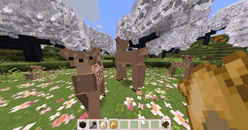 R4CC's Cute Camels and Elk preview