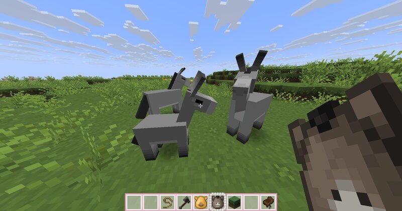 R4CC's Cute Donkeys and Zebras preview