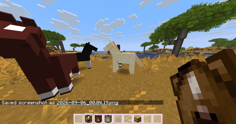 R4CC's Cute Horses, Donkeys, Mules and Zebras preview
