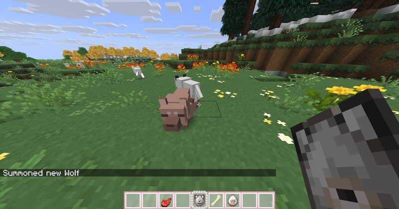 R4CC's Cute Wolves preview