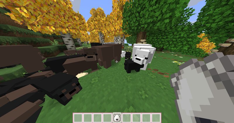 R4CC's Cute Bears (Polar Bears, Black Bears and Brown Bears) preview