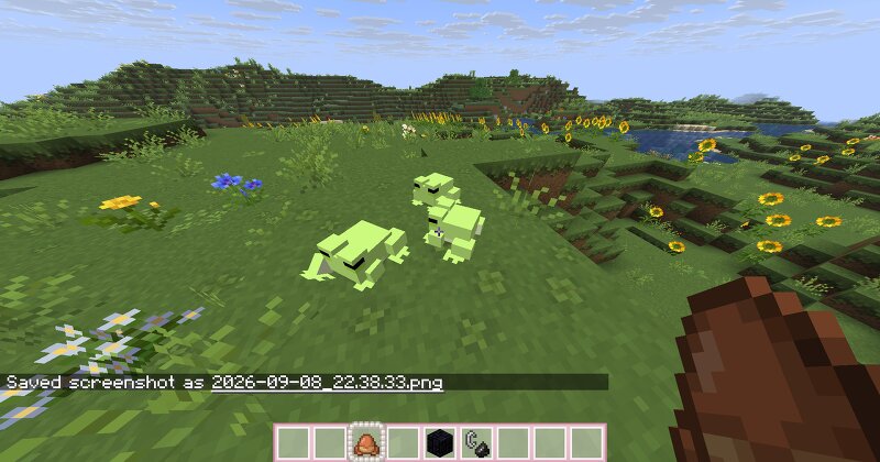 R4CC's Cute Pastel Frogs preview