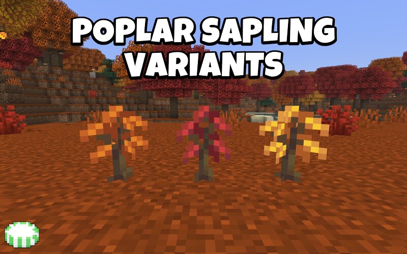 Poplar Sapling Variants v1.0.0 (MC 26.3) preview