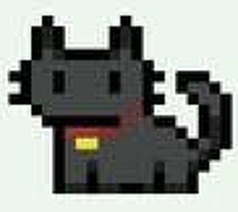 cat of immortality preview