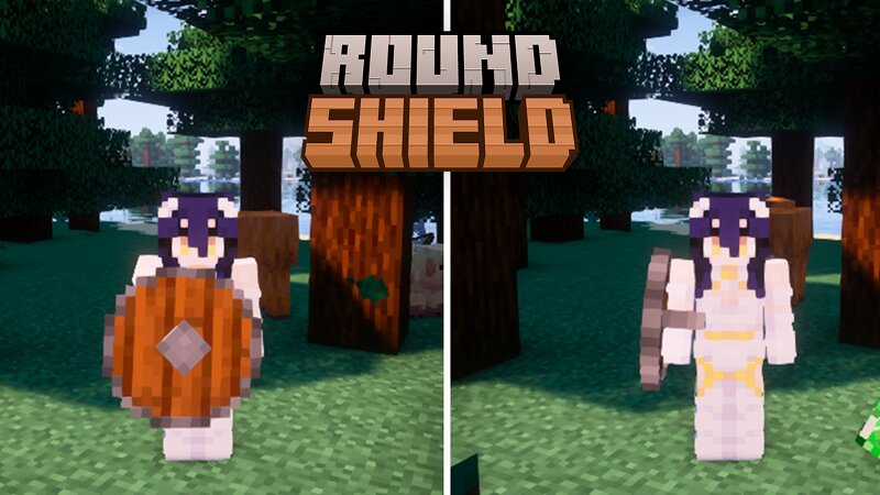 Round Shield 🛡️ preview