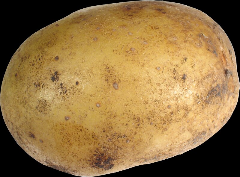HD Potato Totem Bedrock preview