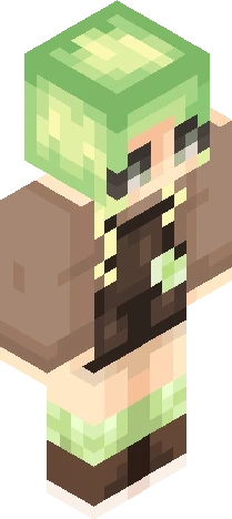 Minecraft. Skin Minecraft skin preview