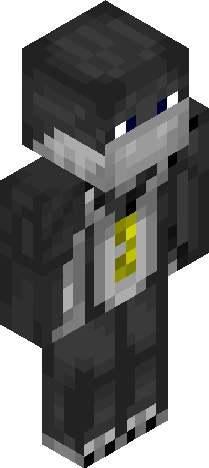 Ninja Skin Minecraft skin preview