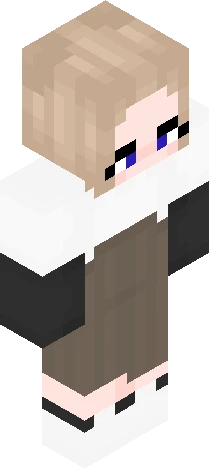 Skin 1a0dce Minecraft skin preview