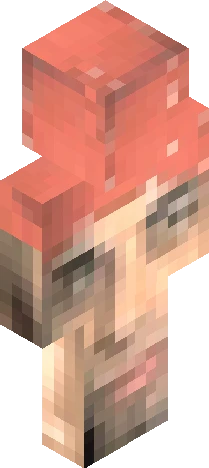 Skin 1b3b29 Minecraft skin preview