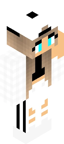 Skin 212d55 Minecraft skin preview