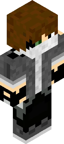 Skin 2212fc Minecraft skin preview