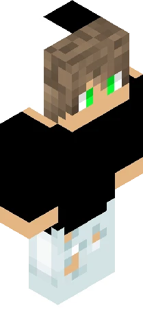 Skin 2218e1 Minecraft skin preview