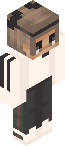 Skin 246a3f Minecraft skin preview