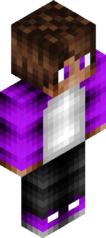 Skin 2498dc Minecraft skin preview