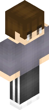 Skin 29425d Minecraft skin preview
